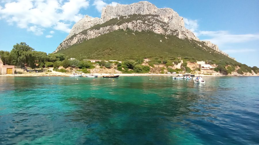 Tour alle Isole e pomeriggio a Tavolara